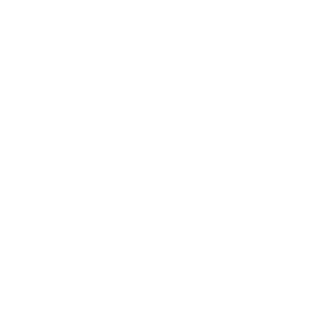 Initiator